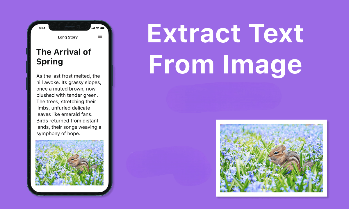 Visualization of text extraction process