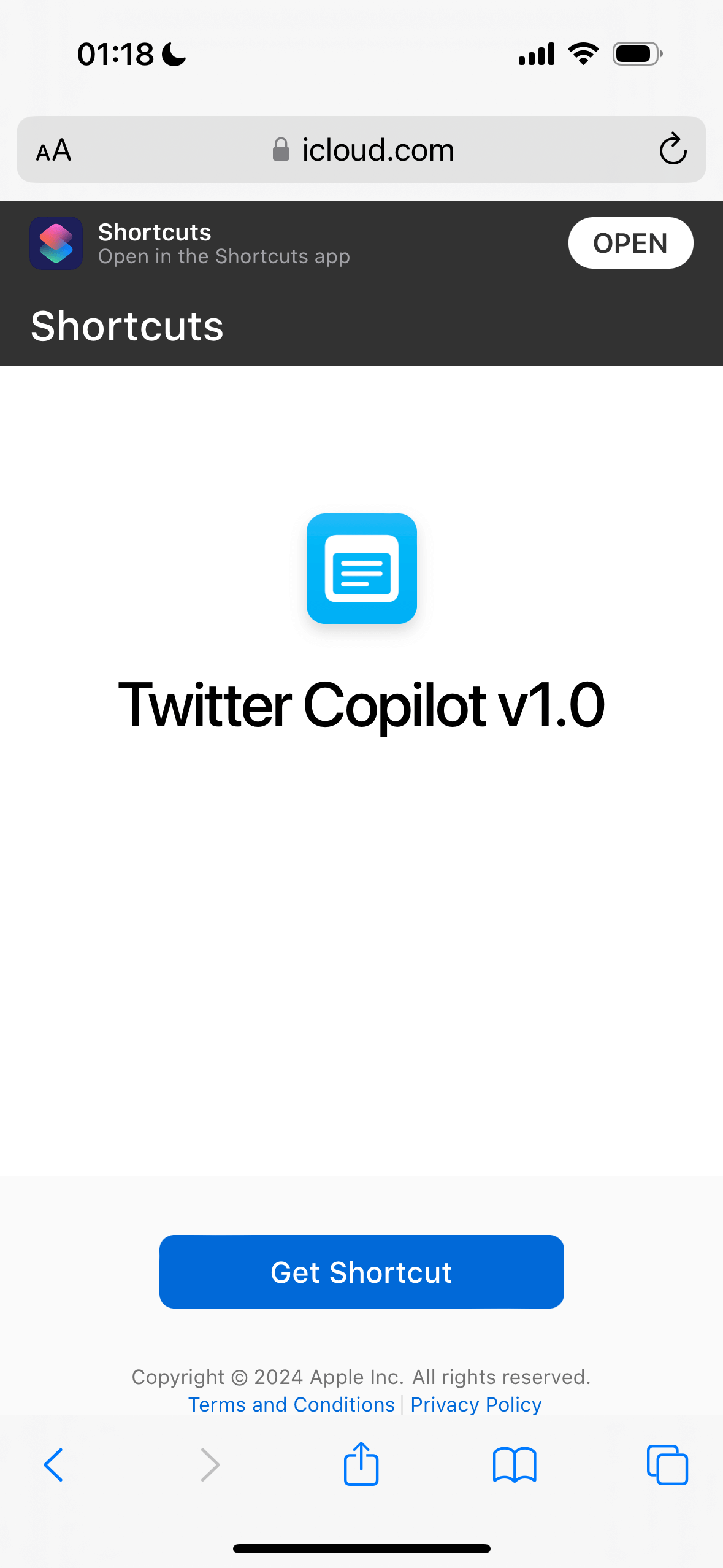 TwitterCopilot installation process